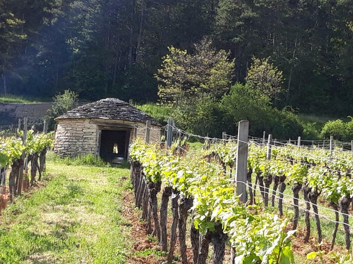 Le Bois De Laval Bed and Breakfast Marey-les-Fussey Εξωτερικό φωτογραφία
